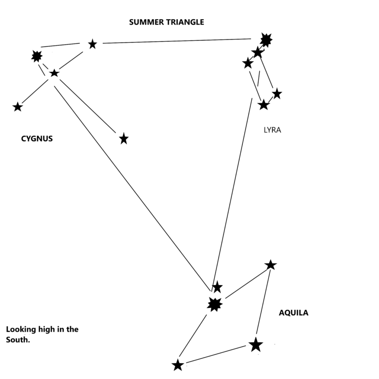 The Night Sky-The Summer Triangle