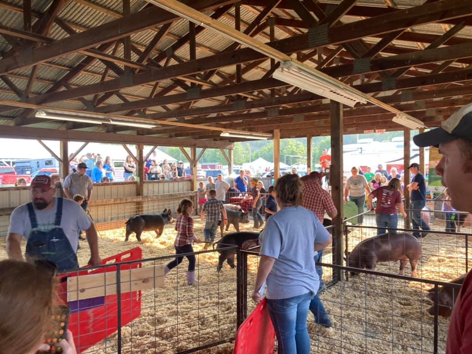 4H and the Ontario County Fair